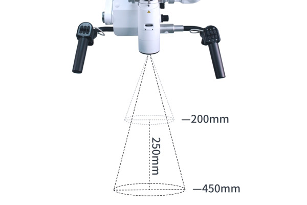 irudia-2